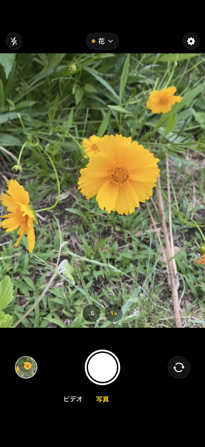 振り分けカメラの撮影画面。上部中央のボタンに保存するアルバム「花」が表示され、下にズームの.5と1×、サムネイル、シャッター、カメラの切り替え、ビデオと写真の切り替えが並んでいます。