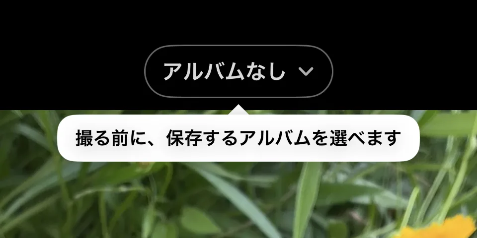 はじめて開いたときの撮影画面の上部。ボタンに「アルバムなし」と表示され、「撮る前に、保存するアルバムを選べます」という案内が出ています。