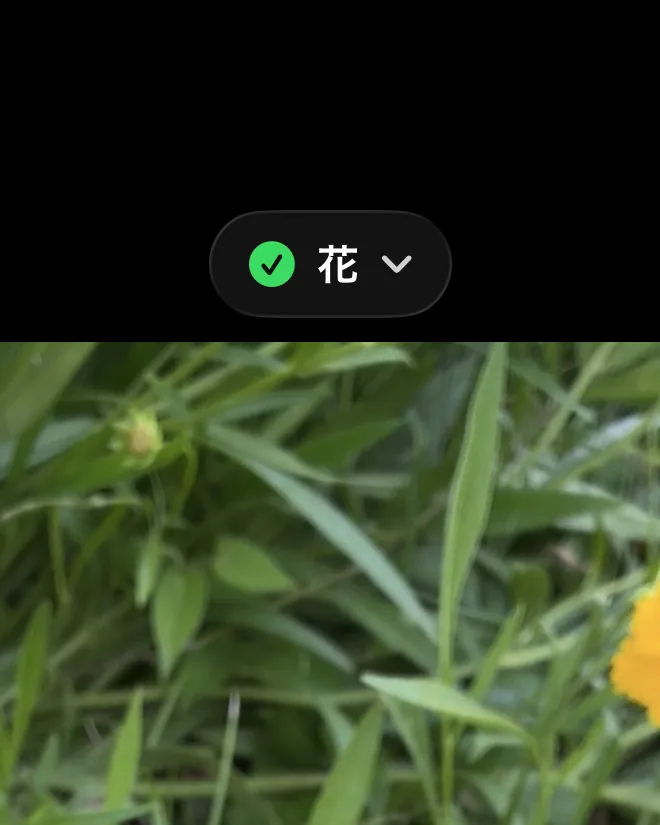 撮影直後の画面上部。ボタンが「✓ 花」に変わっています。